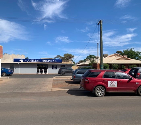 The Animal Hospital - Kalgoorlie, WA