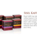 Sisel International Representative - Health & Wellness Products