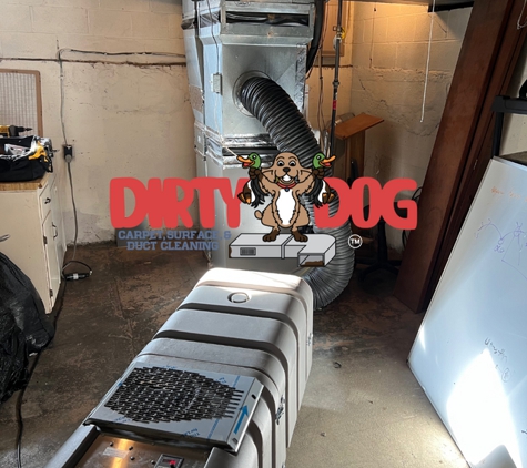 Dirty Dog Carpet, Surface and Duct Cleaning - Harrisonburg, VA