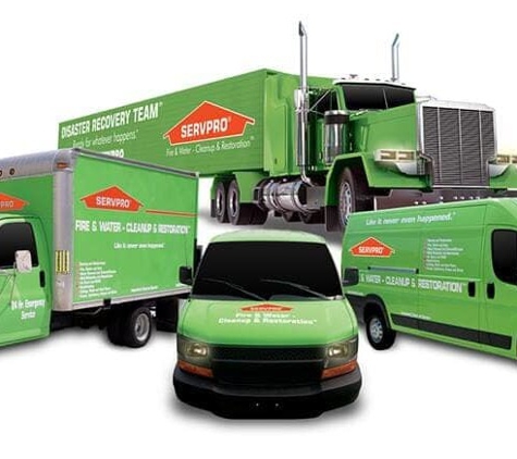 SERVPRO Of South Bronx - Bronx, NY