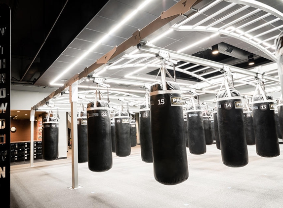 Undisputed Boxing Gym - Redwood City, CA