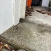 Critter Control gallery