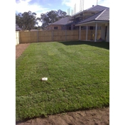 Gallery Image Number 5