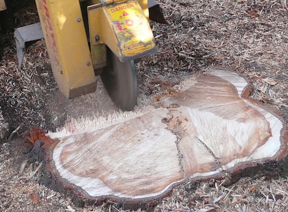 Torquay Tree Lopping - Jan Juc, VIC