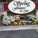Spring Flowers & Gifts - Florists