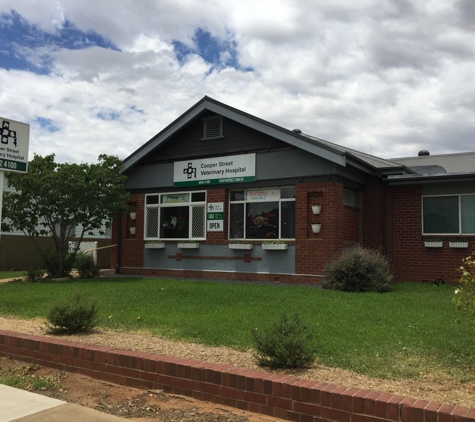 Cooper Street Veterinary Hospital - Cootamundra, NSW