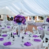 Caribbean Caterers gallery