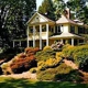 The Yellow House On Plott Creek Road