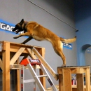California K9 Solutions - Cali K9 - Dog Training