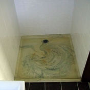 Gallery Image Number 5