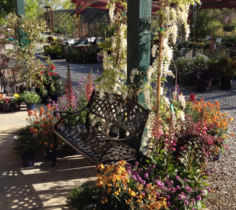 Rising Sun Nursery & Gift Shop - Burson, CA