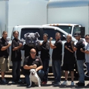 Always Professional In Moving - Transportation Services