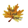 Top Leaf Tree