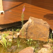 Gallery Image Number 2