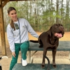 Camp Green Dog & Doggie Daycare gallery
