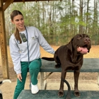 Camp Green Dog & Doggie Daycare