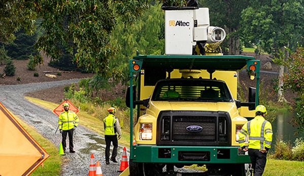 Bartlett Tree Experts - San Diego, CA - Escondido, CA