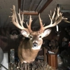 Big Game Taxidermy - Eudora, KS gallery