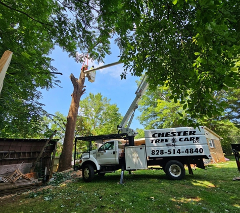 Chester Tree Care - Hickory, NC