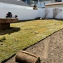 Baudi Landscaping Inc