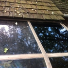 Durable Window Cleaning