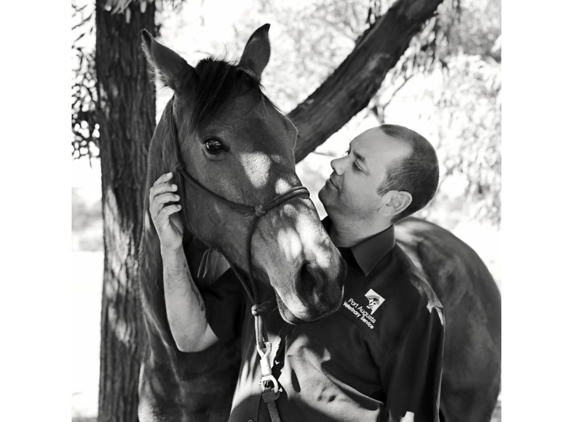 Port Augusta Veterinary Services - Port Augusta, SA