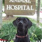 Great Falls Animal Hospital