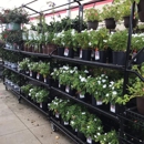 Tractor Supply Co - Garden Centers