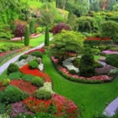 Westview Landscaping & Lawn Care - Lawn Maintenance
