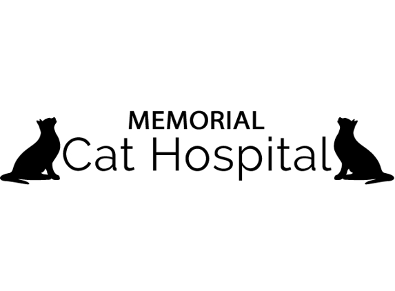 Memorial Cat Hospital - Houston, TX