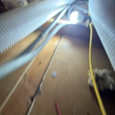Qute Insulation - Insulation Contractors