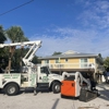 Macias Tree Service Corp gallery