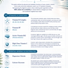 Flow State Medical and Wellness