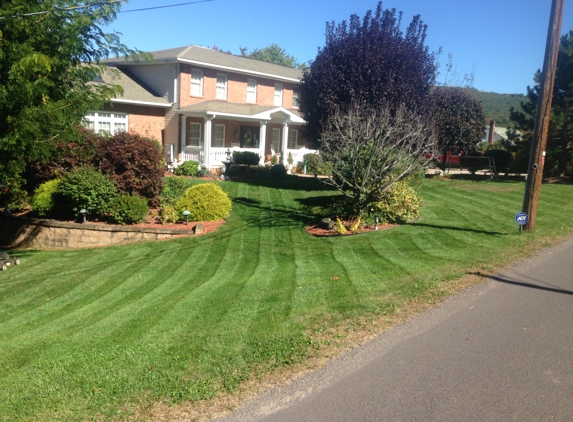 Precision lawn landscape - Freeland, PA