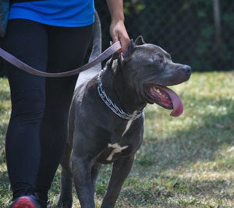 Woof Dogs - Loxahatchee, FL