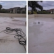 Sarasota Bradenton Pressure Washing