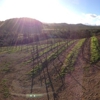 Sbragia Family Vineyards gallery