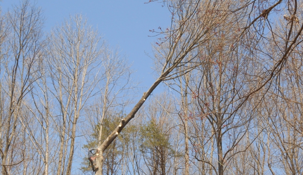 Ace's Tree Service Inc. - Fredericksburg, VA