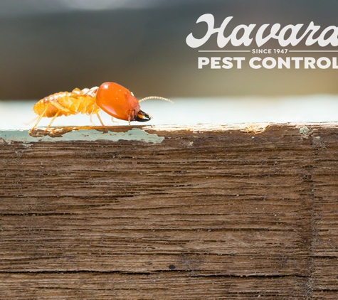 Havard Pest Control - Hattiesburg, MS