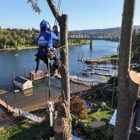 NW Premier Tree Services Beaverton