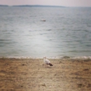 Barrington Town Beach - Beaches