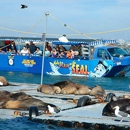 San Diego Seal Tours - Tours-Operators & Promoters