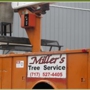 Miller's Tree Service