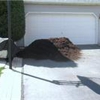 Naperville Mulch Sales Inc gallery