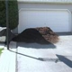 Naperville Mulch Sales Inc