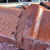 Gallery Image Number 1