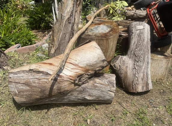 Pat Mcgrath Tree Services - North Avoca, NSW