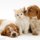 Animal Clinic of Bay Ridge - Veterinarians