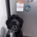 The Dog Stop - Cincinnati Central - Pet Training