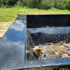 The Fort Dumpster Dash
